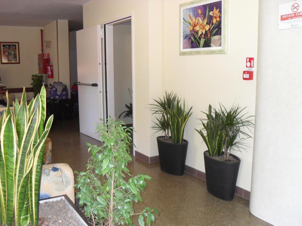 Hotel Zani Cervia Kültér fotó