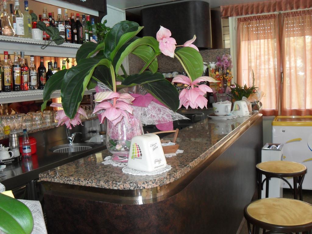 Hotel Zani Cervia Kültér fotó